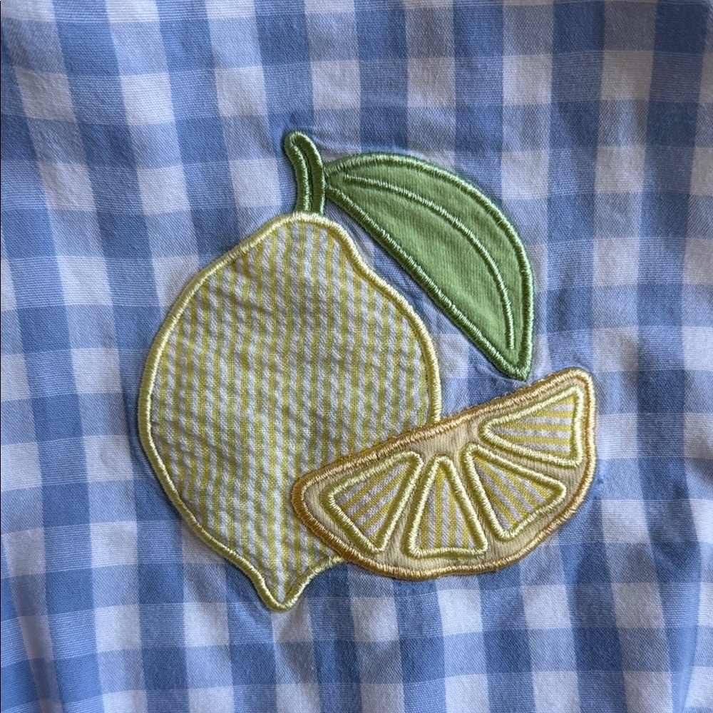 Blue Gingham Baby Romper with Lemon Patch StichyFish size 18m EUC - Picture 3 of 3